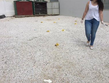 Βίντεο από γλέντι Αθίγγανων επιβεβαιώνει τις μαρτυρίες των κατοίκων του Μενιδίου - «Βροχή» πέφτουν οι σφαίρες (βίντεο)